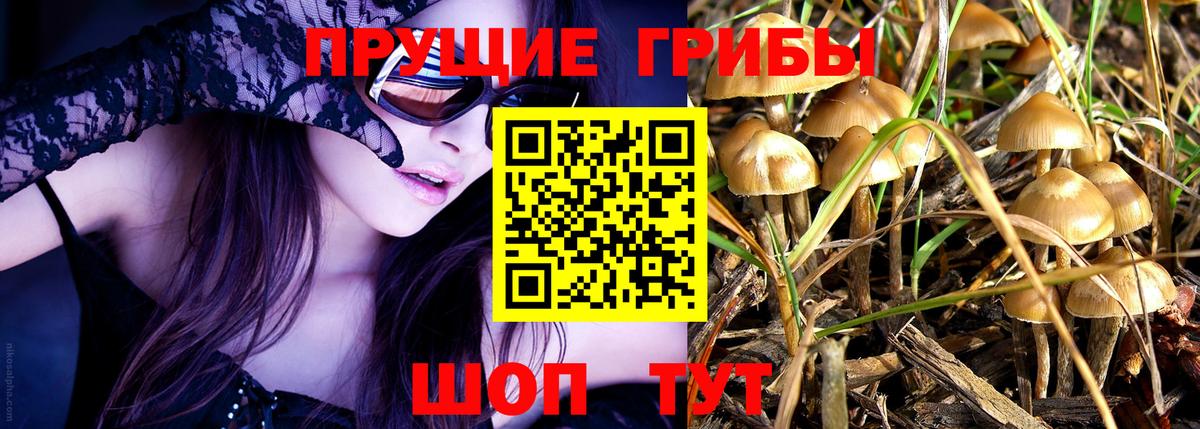 Тюмень  Галлюциногенные грибы мухоморы  Вход с VPN 